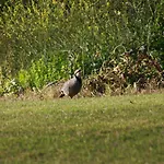 Crete Golf Club 5* Hersonissos (Crete)